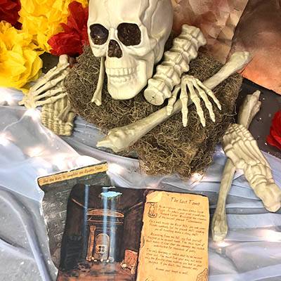 lost-mummy-adams-skull-400x400 lost-mummy-adams-skull-400x400