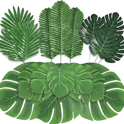 palm-leaves-lost-mummy-amazon-400x400